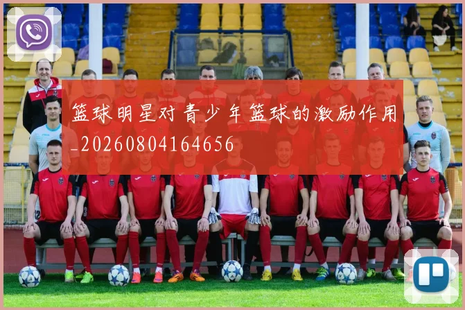 篮球明星对青少年篮球的激励作用_20260804164656