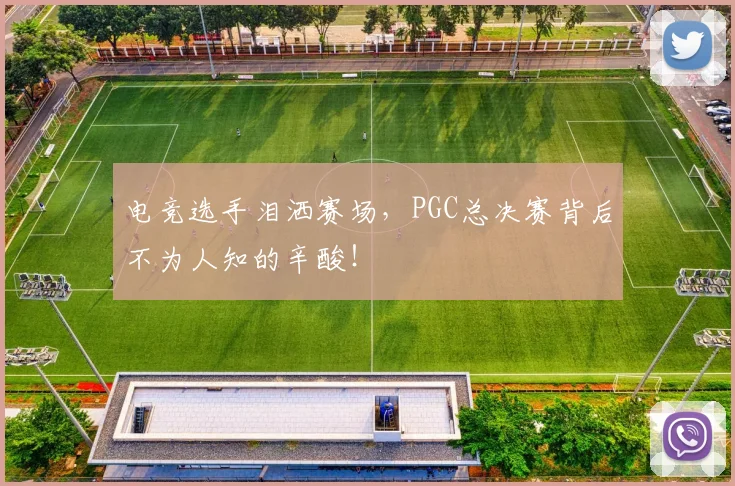 电竞选手泪洒赛场，PGC总决赛背后不为人知的辛酸！