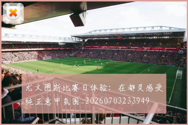 尤文图斯比赛日体验：在都灵感受纯正意甲氛围_20260703233949
